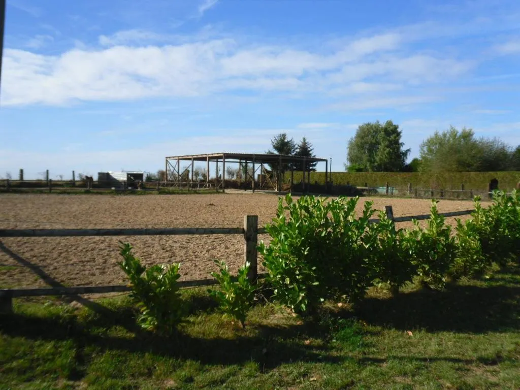 La Mini Ferme de Maëlou (gîte à la ferme), Sermaises
