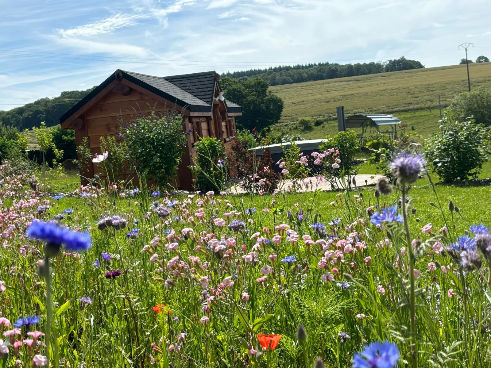 La Petite Bicolia (hébergement insolite à la ferme), Romain-sur-Meuse