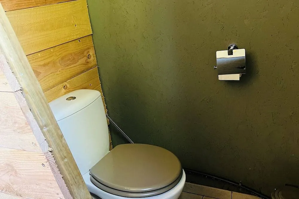 La Petite Cabane Corse, Olivese : image 4