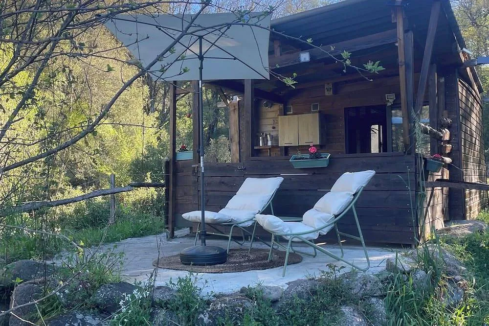 La Petite Cabane Corse, Olivese : image 5