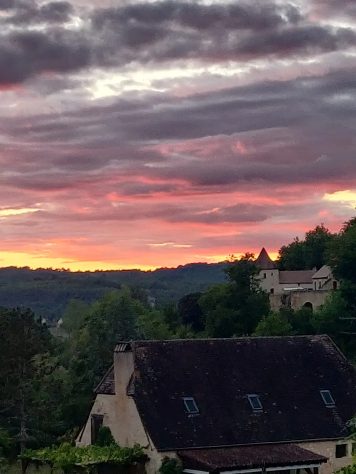 La Renarde, Les Eyzies : image 5