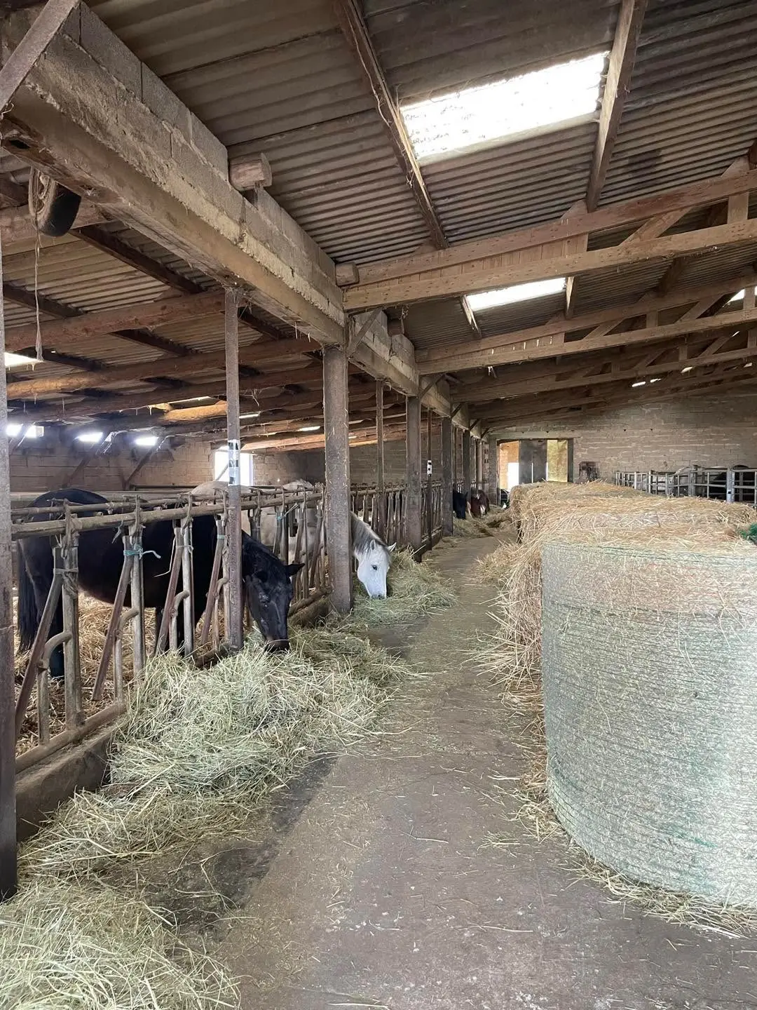 La Roulotte Alsacienne du Domaine du Posseck, Hilsprich : image 3