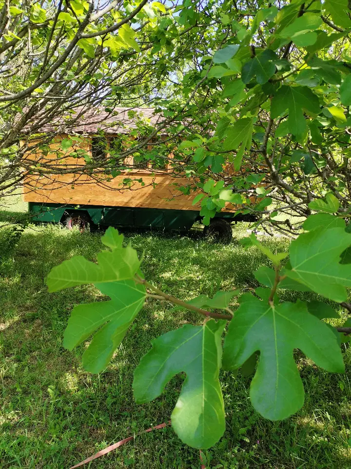 La Roulotte de la Ferme de la Plano, Coutens : image 2