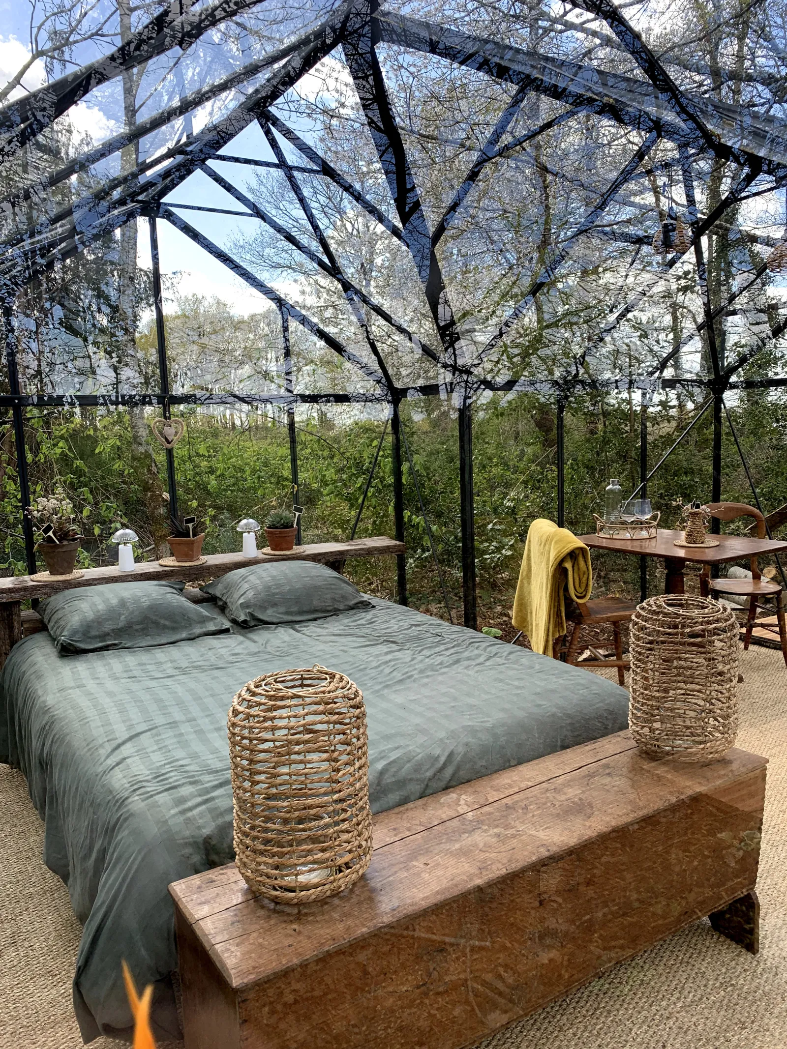 La Serre du Jardinier, Abzac : image 2