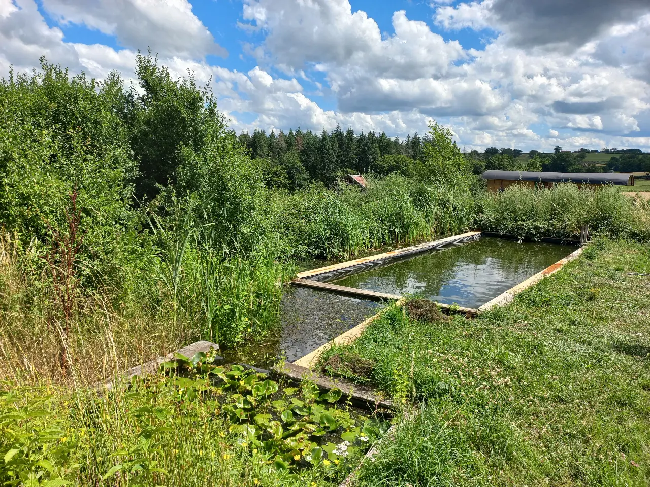 La Source à Brénazet, Vernusse : image 4