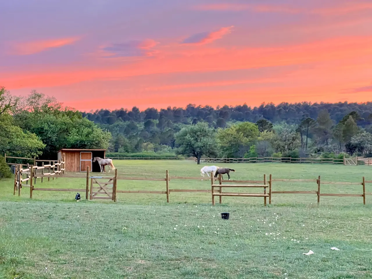 La Suite du Mas de Babarot (gîte à la ferme), Aups