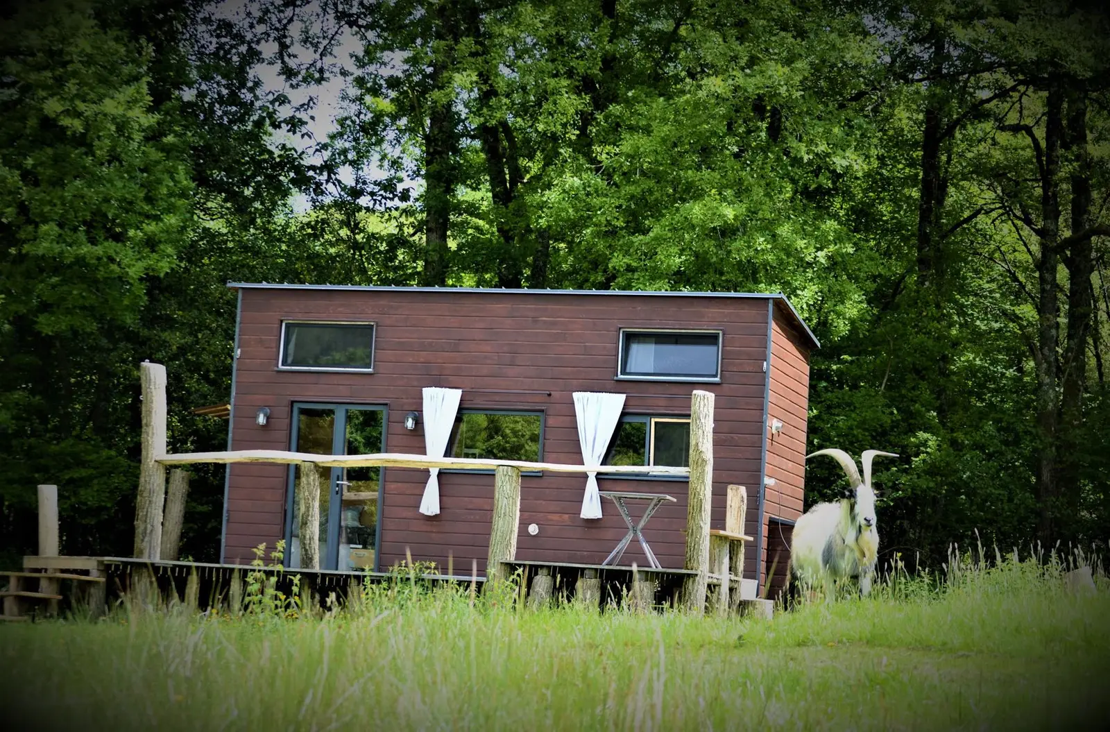 La Tiny House de Terra Nostra, Saint-Bazile : image 4