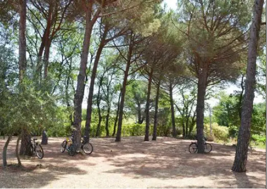 Le Caveau de la Villa Tempora (chambre d'hôtes à la ferme), Pézenas