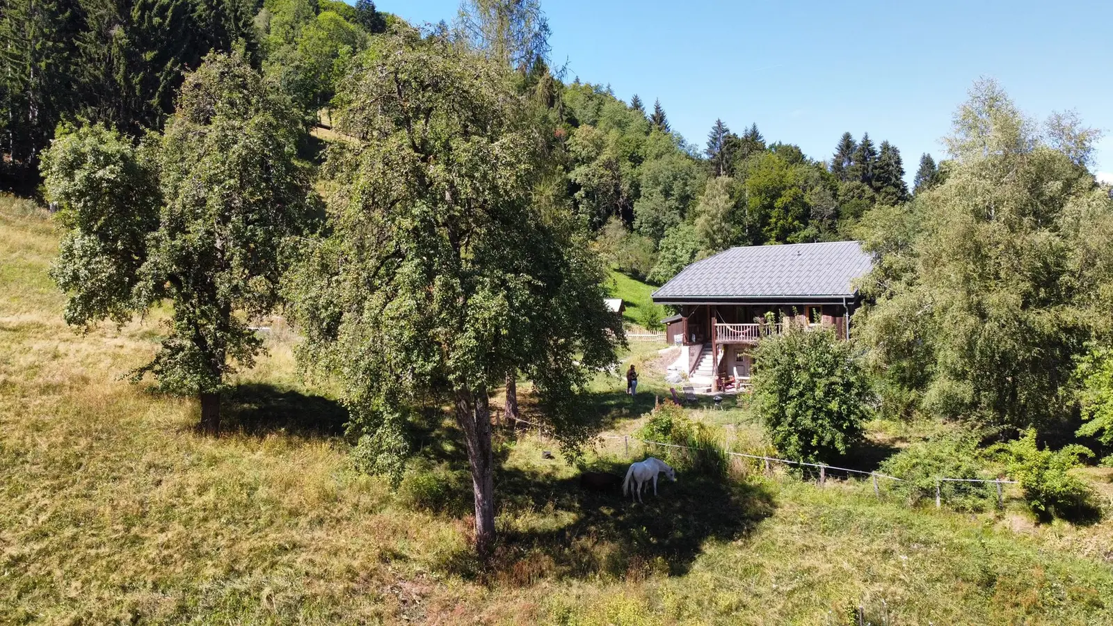Le Chalet de Bémont, Samoëns : image 2