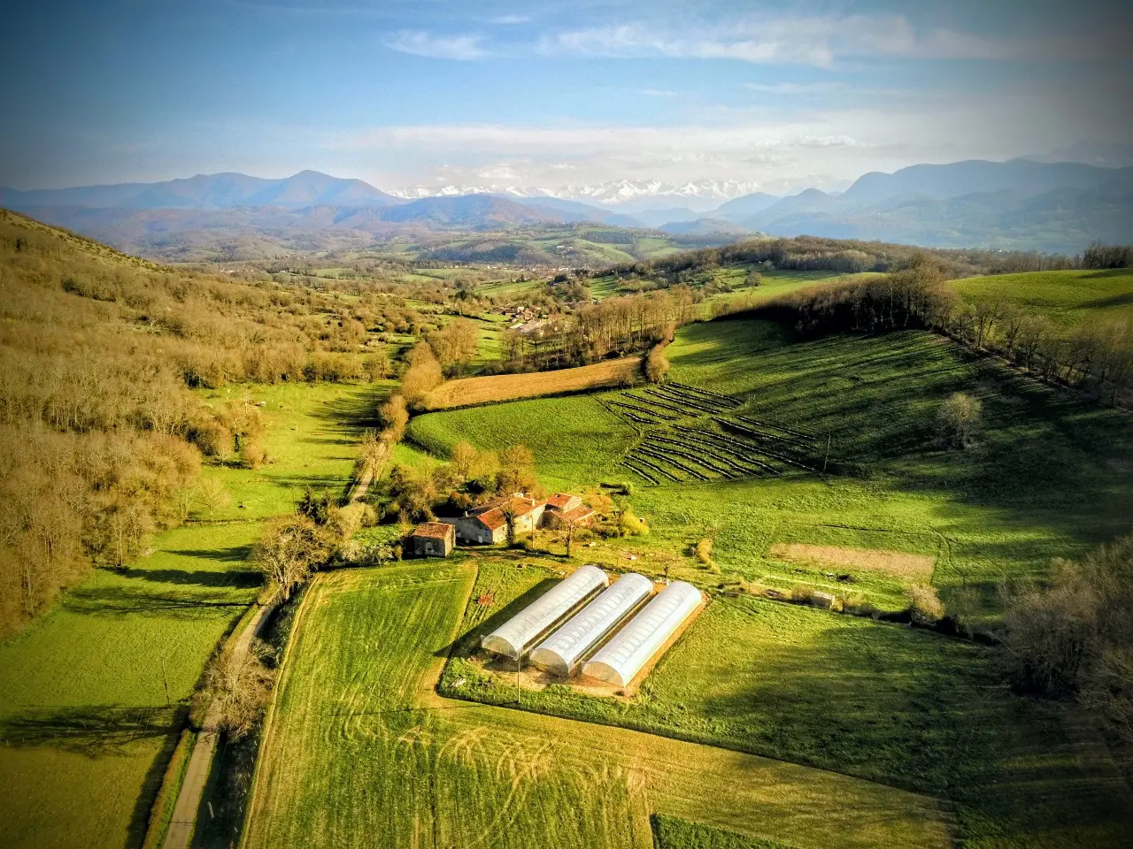 Le Champ des Grenouilles (gîte à la ferme), Montjoie-en-Couserans
