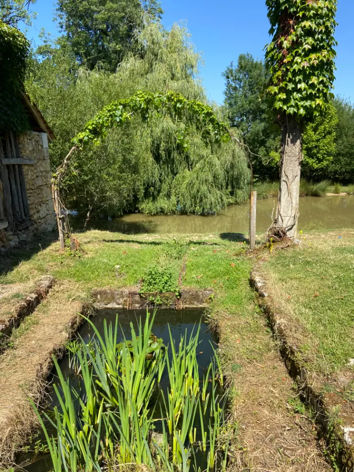 Le Clos Bohème, Saint-Médard-de-Mussidan : image 5