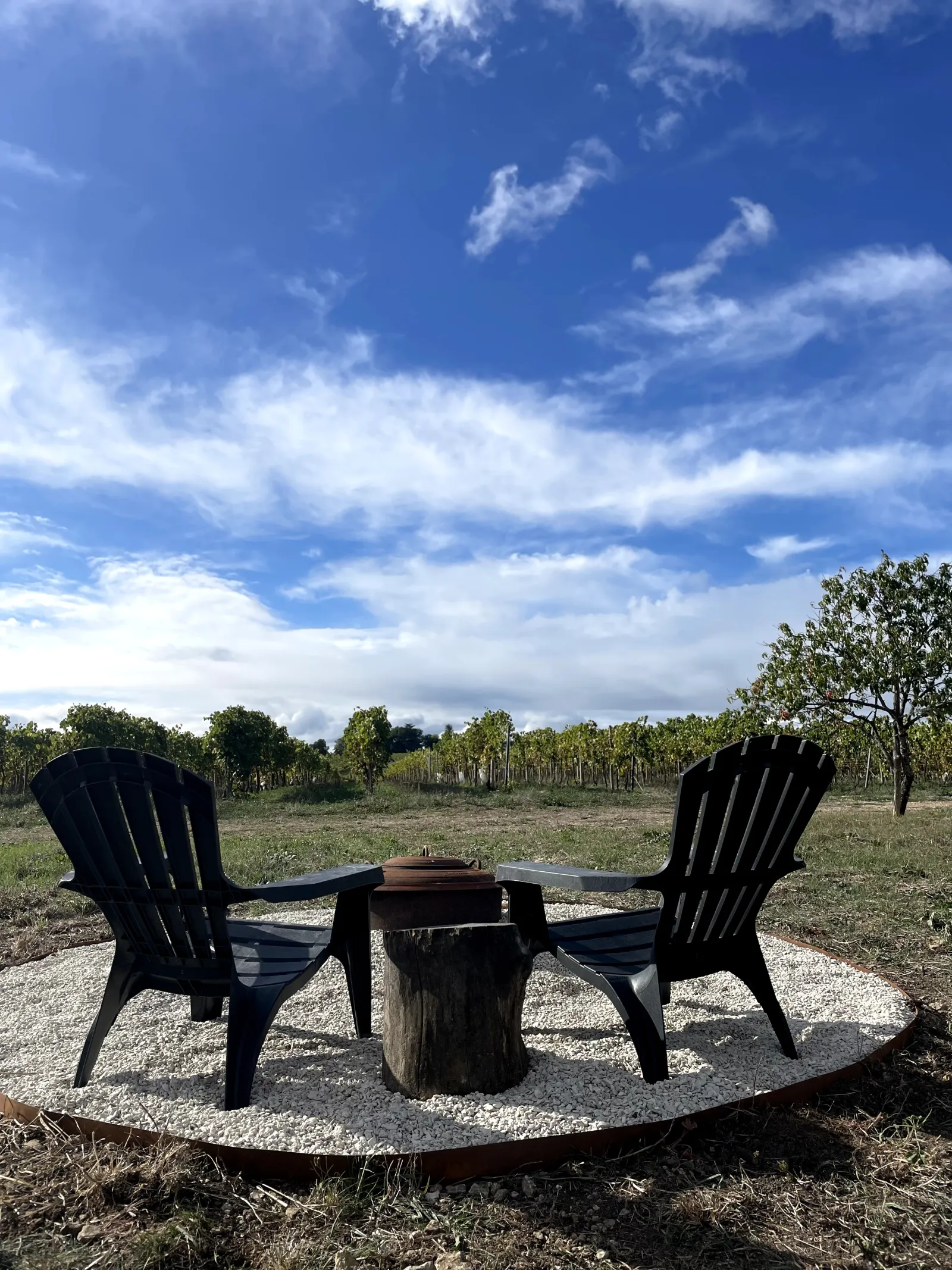 Le Dôme de Cognac & Sauna, Javrezac : image 5