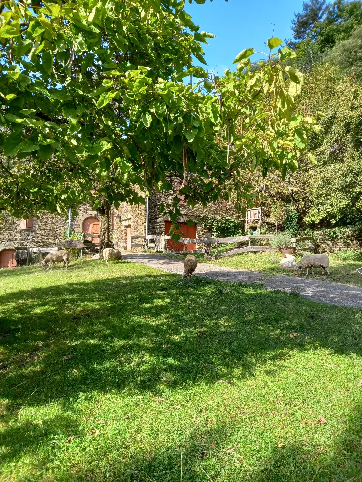 Le Fenil, Saint-Germain-de-Calberte : image 4