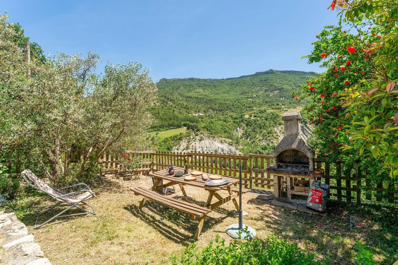 Le Frêne de la Ferme des Aygues, Montaulieu : image 2