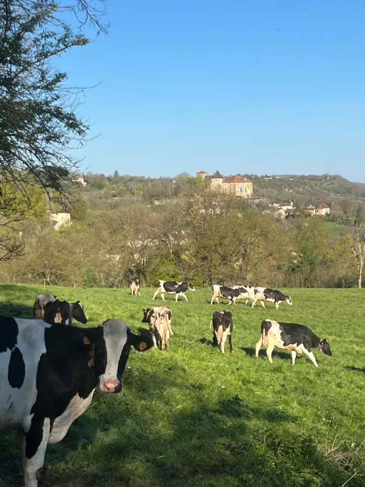 Le Gîte des Vaches Heureuses (gîte à la ferme), Béduer