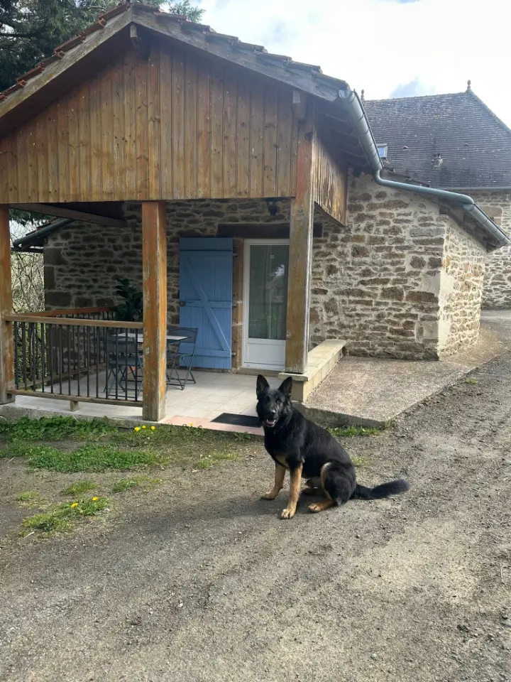 Le Gîte des Vaches Heureuses, Béduer : image 3