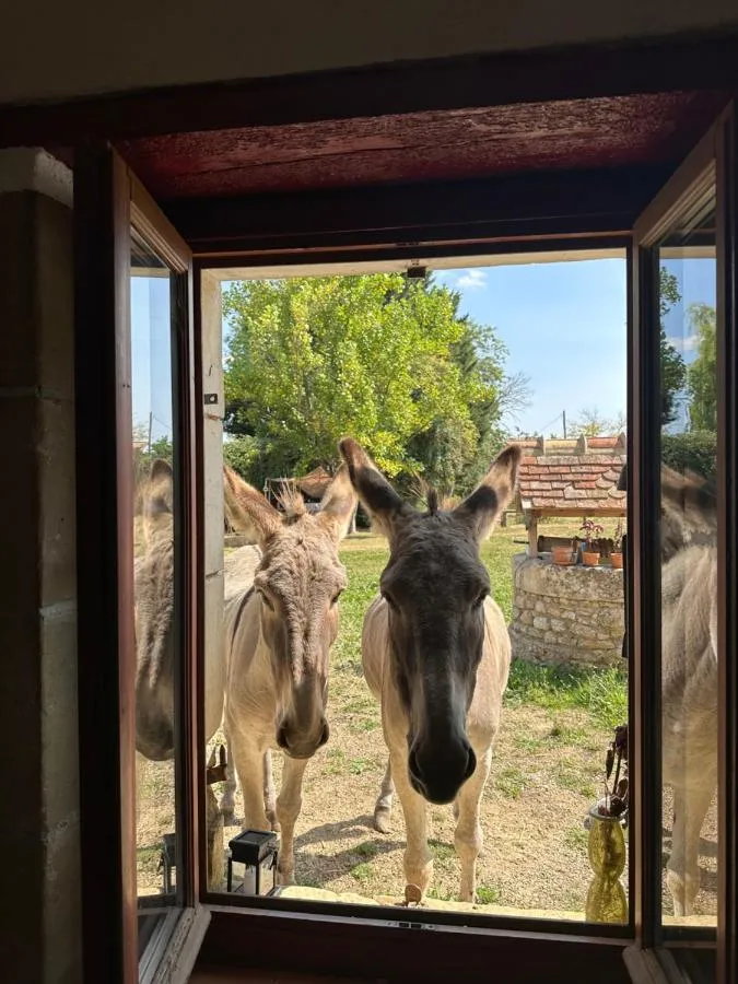 Le Hameau des Ânesses (gîte à la ferme), Courgains