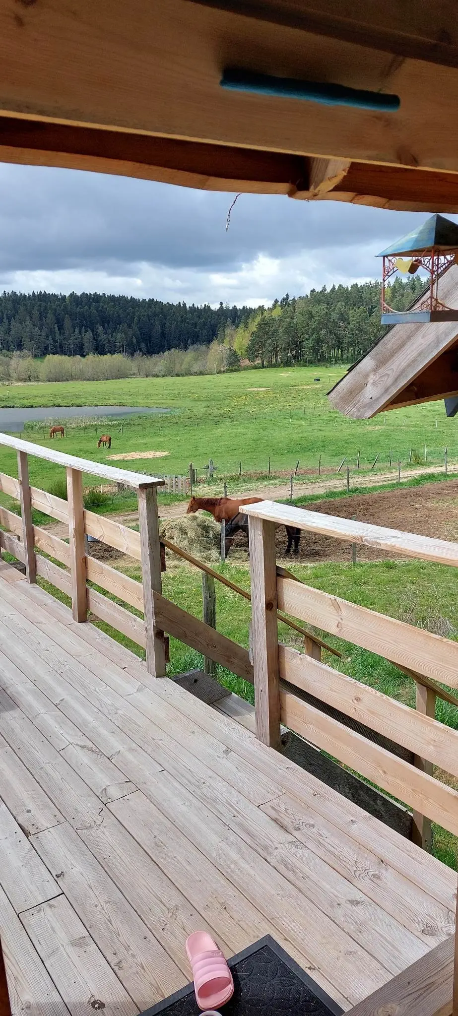 Le Love Nid de la Ferme de Vovady, Montregard : image 5