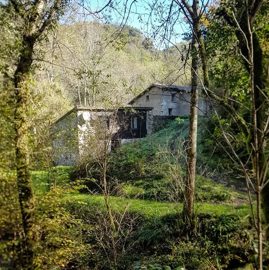 Le Moulin de l'Estanque, Rimont : image 5