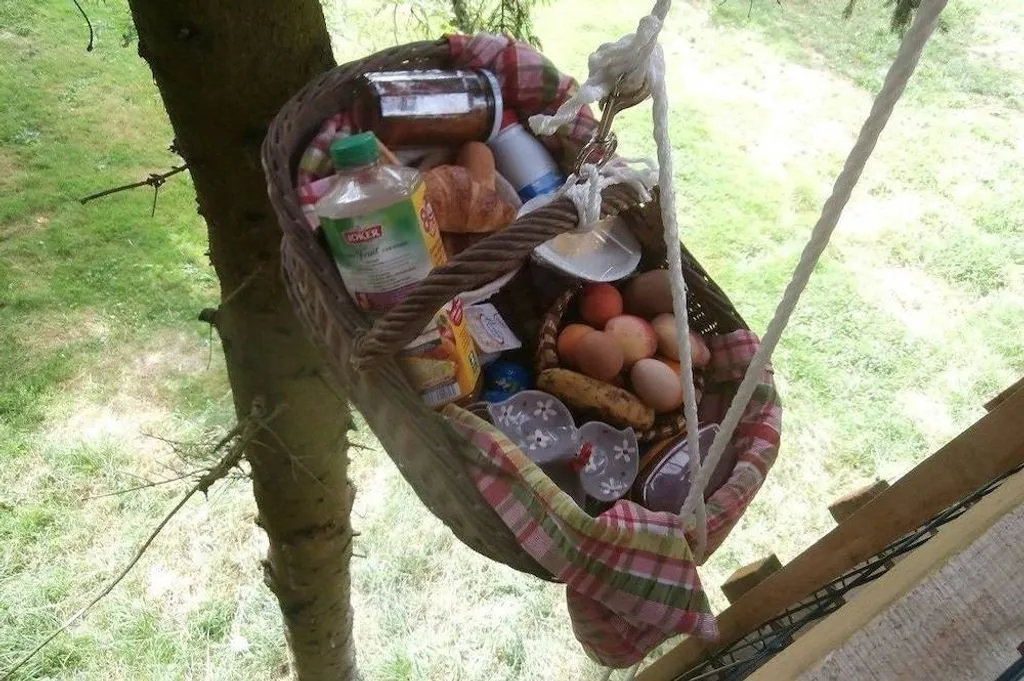 Le Nid dans le Chêne, Saint-Thomas-de-Courceriers : image 4
