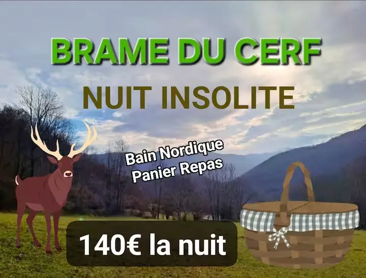 Le Nid de l'Arriou, Ourde : image 3