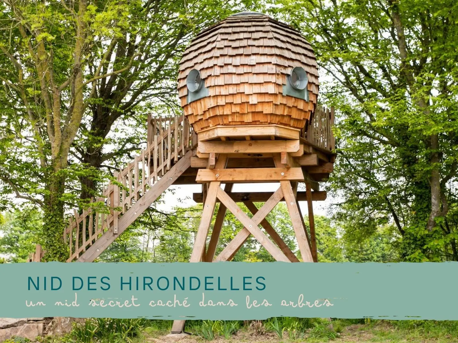 Le Nid des Hirondelles, Erquy : image 4