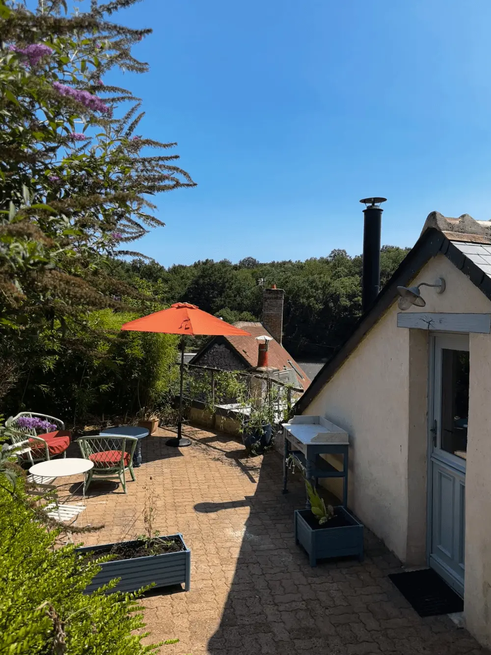 Le Petit Nid des Plantes (chambre d'hôtes à la ferme), Saint-Ouen-les-Vignes