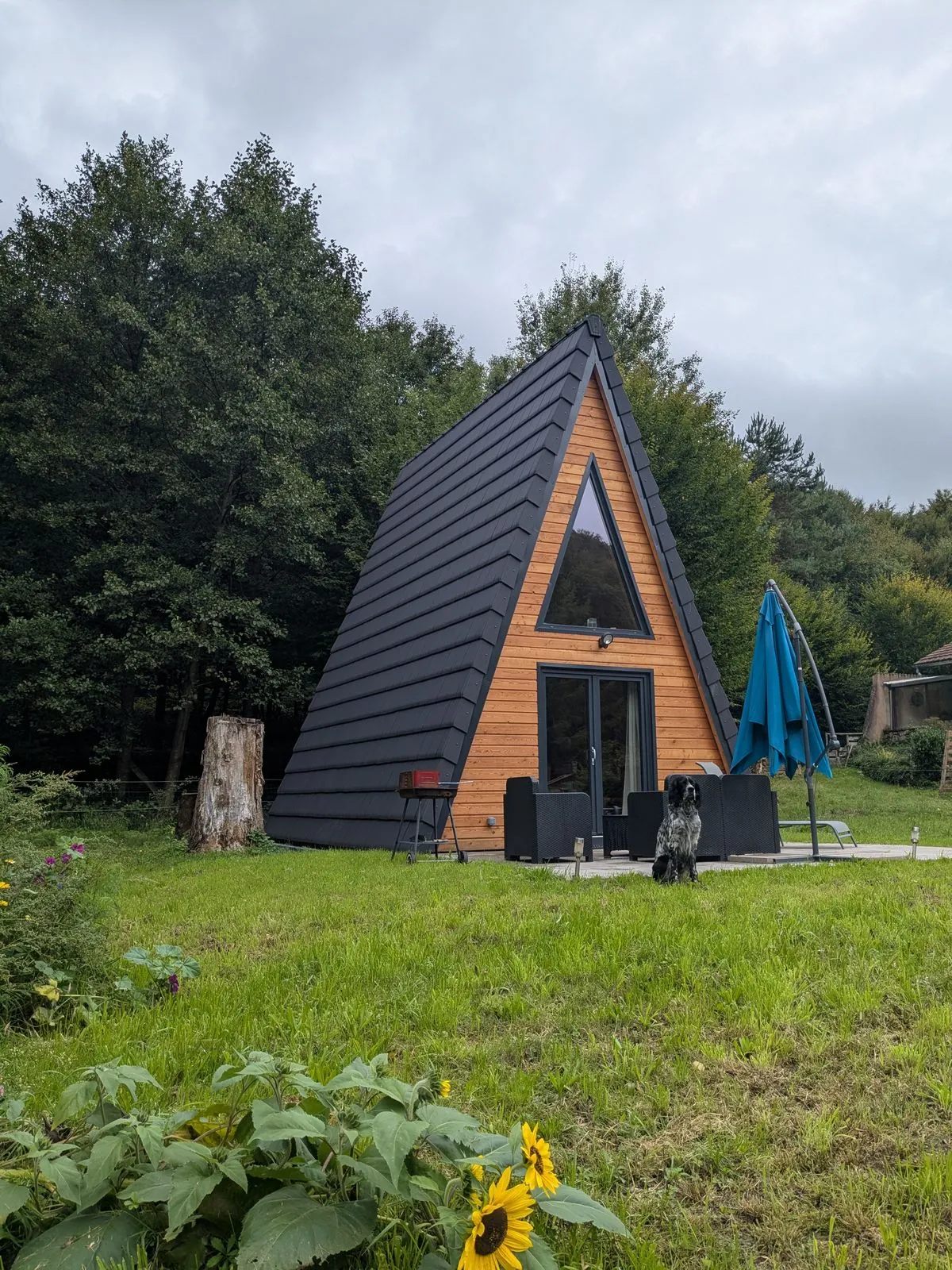 Le Petit Sabotier, Soucht : image 5