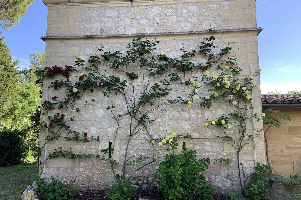 Le Pigeonnier, Flaujagues : image 5