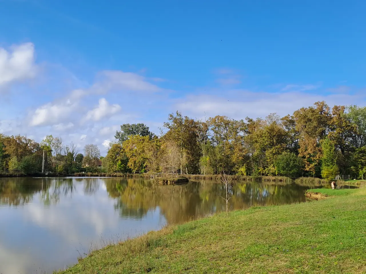 Le Pressoir du Domaine d'Écoline, Sadirac : image 4