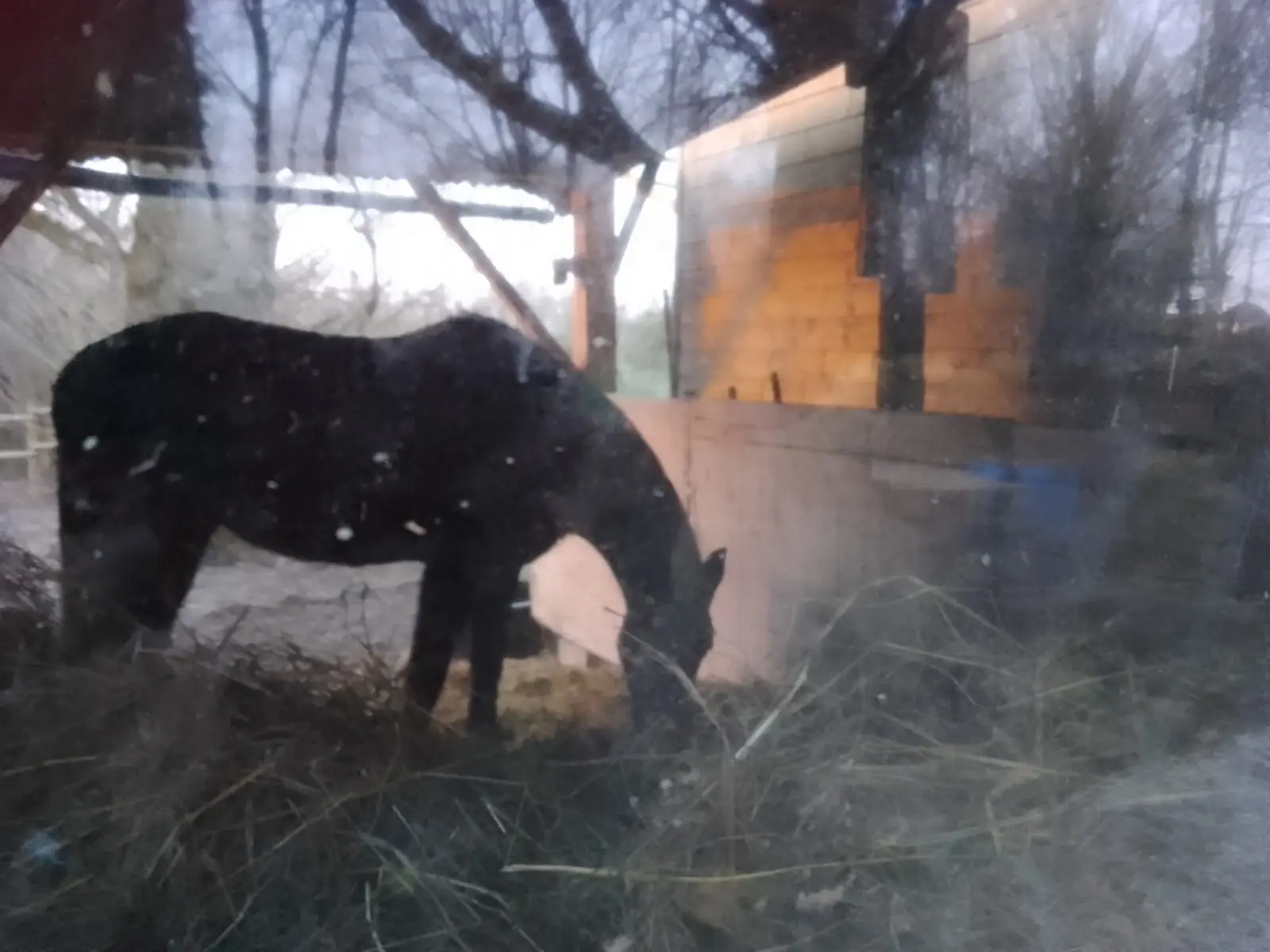 Le Ranch (hébergement insolite à la ferme), Cuissai
