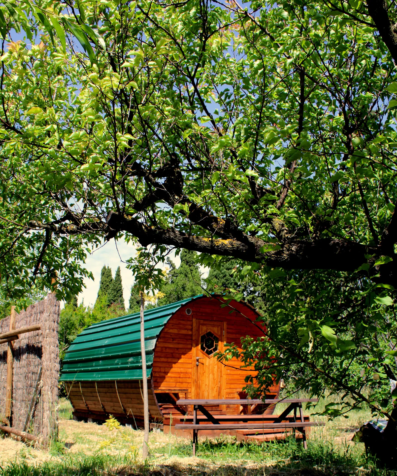 Le Tonneau du Domaine de l'Oiselet, Sarrians : image 3