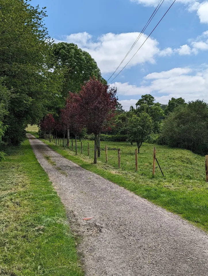 Les Hautes Rouves (gîte à la ferme), Lassay-les-Châteaux