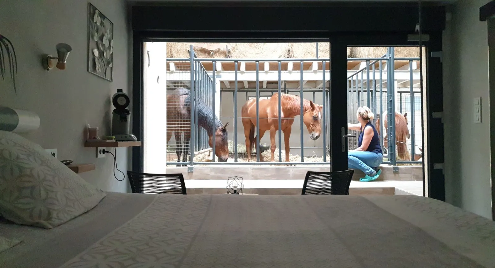 Lodge 2 des Equi-lodges, Fraisnes-En-Saintois : image 5