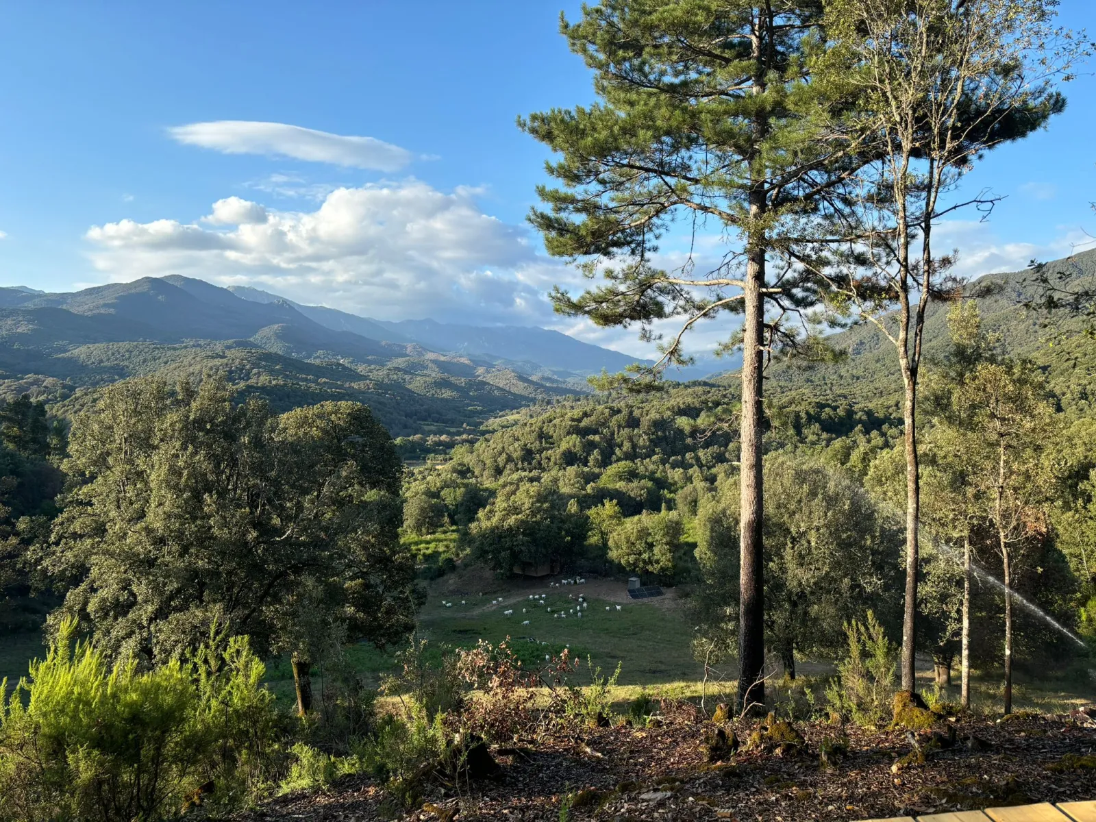 Lodge Chiosa, Olivese : image 3