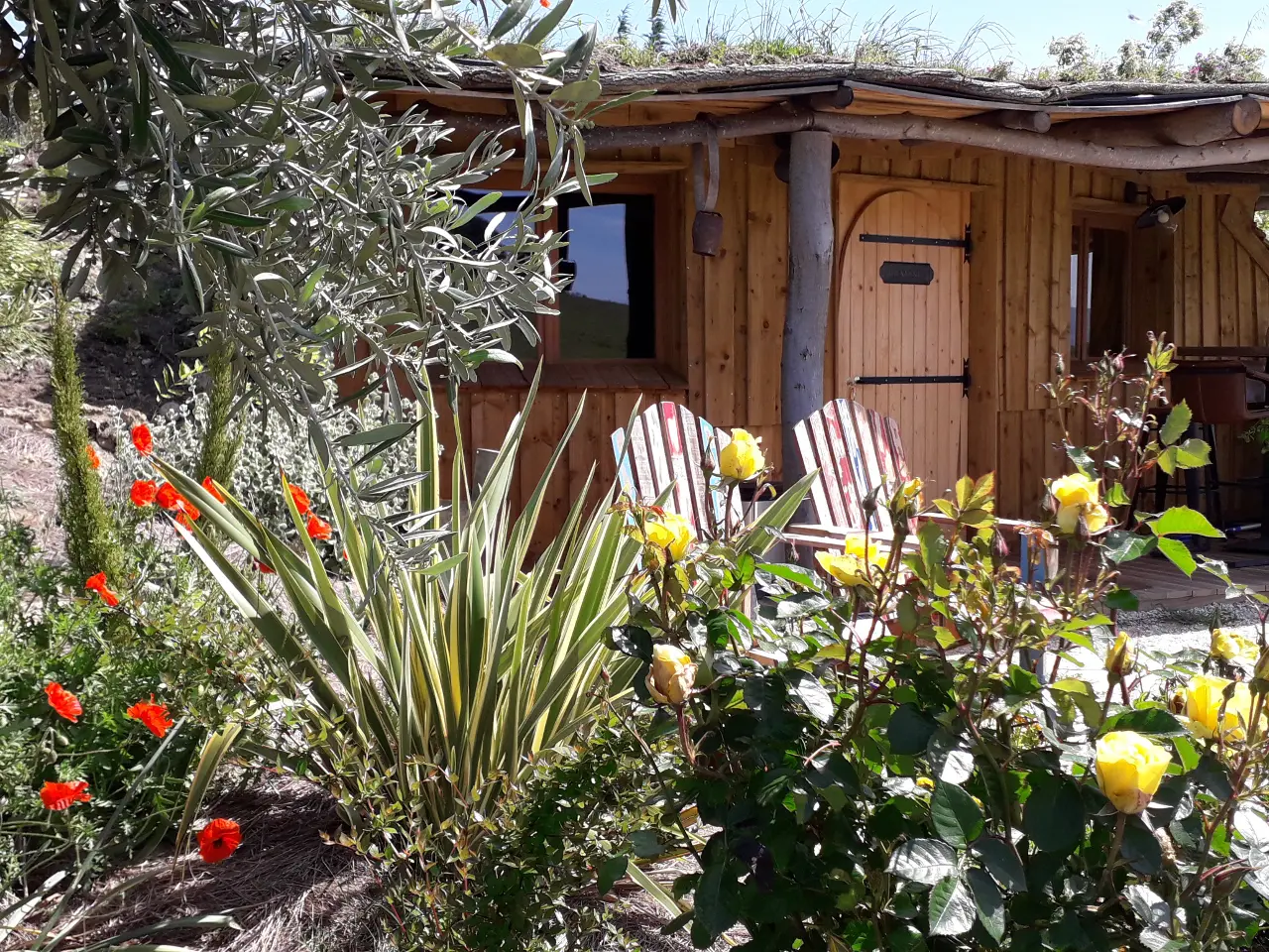 Lodge Miel et Coton, Villarzel-du-Razès : image 5
