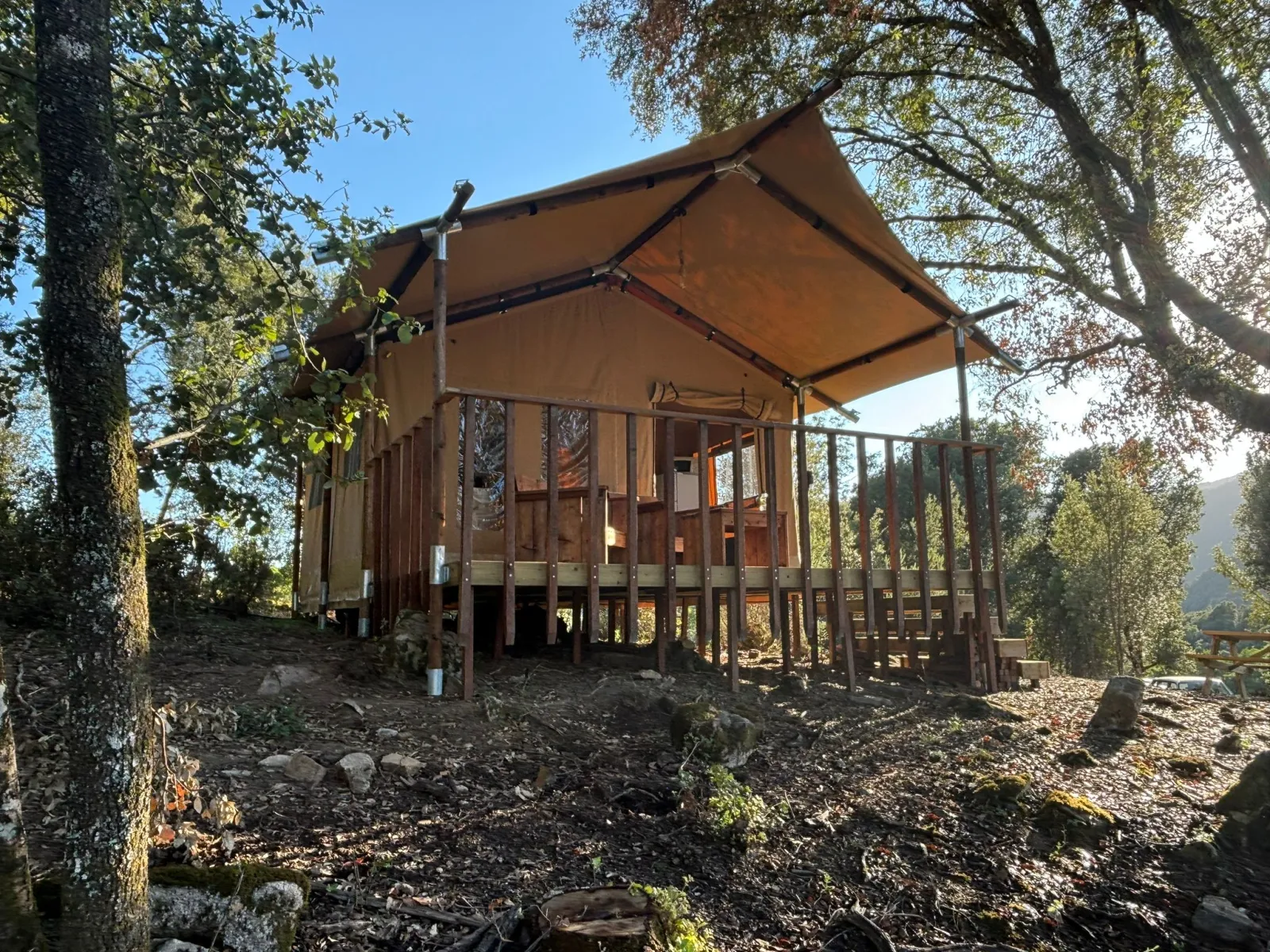 Lodge Nassa (tente à la ferme), Olivese
