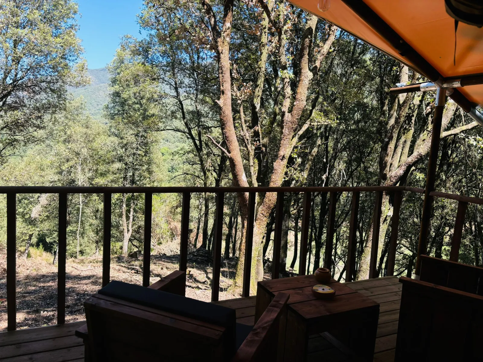 Lodge Nassa, Olivese : image 2