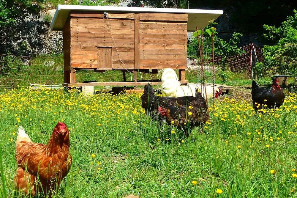 Loft de la ferme maraîchère, Banon : image 4