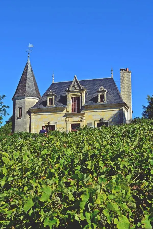 Logement des Vignerons du Domaine Lainault (gîte à la ferme), Lhomme