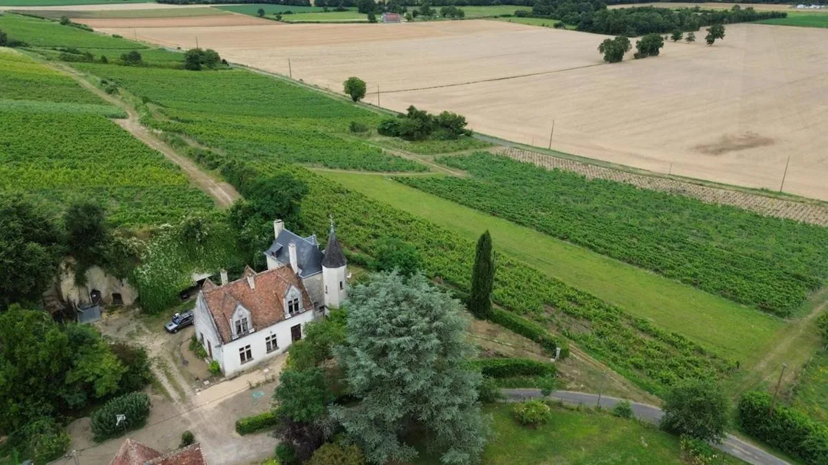 Logement des Vignerons du Domaine Lainault, Lhomme : image 3