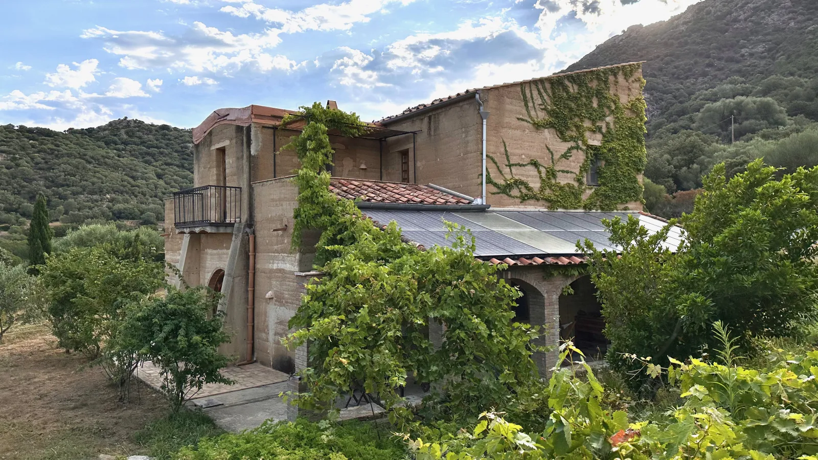Maison de l'Ombria (gîte à la ferme), Belgodère
