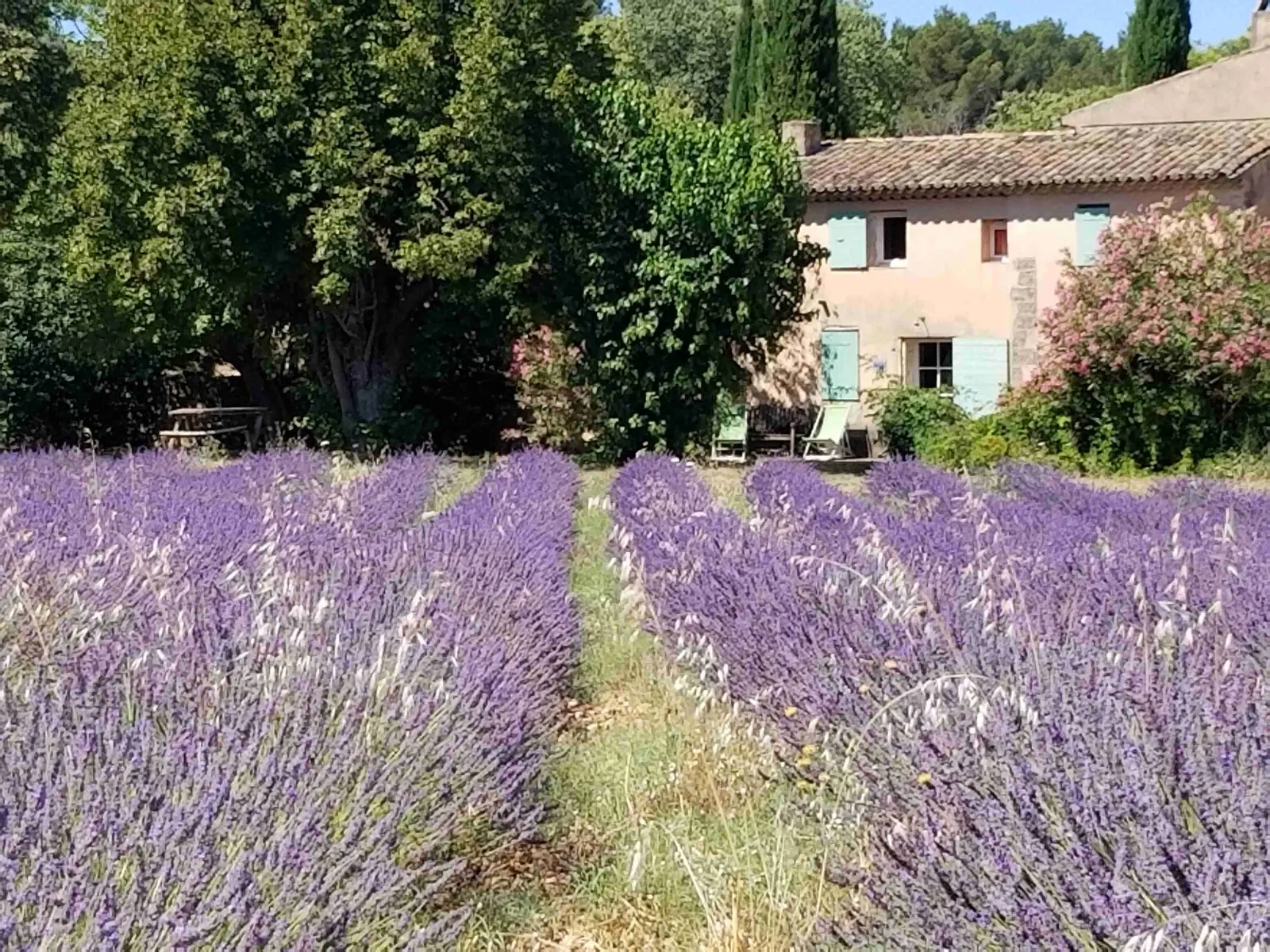 Maison de Rosalie, Pertuis : image 5