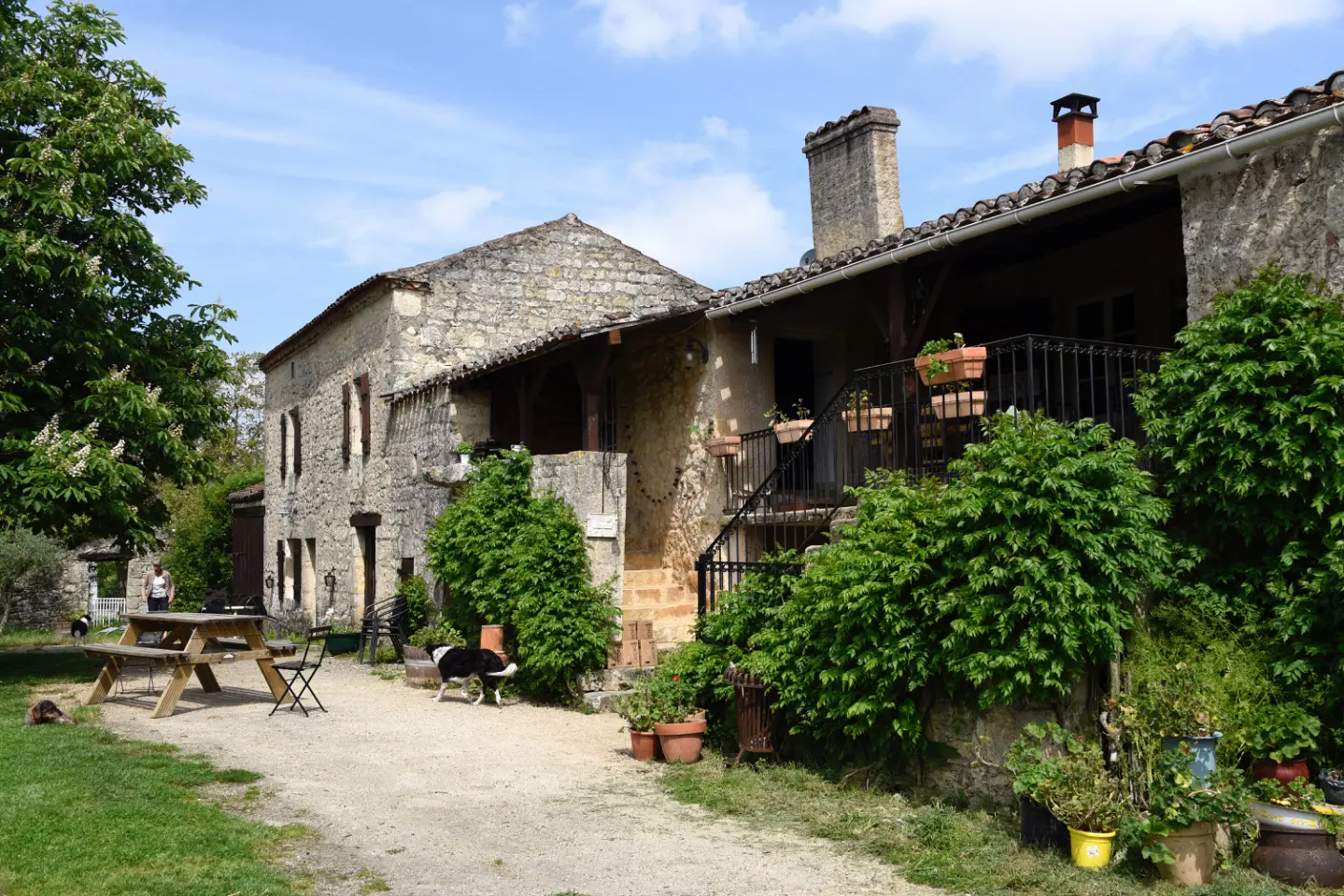 Marronnier au Domaine les Gonies (gîte à la ferme), Mauroux