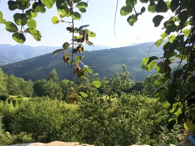 Mas Can Founs (gîte à la ferme), Prats-de-Mollo-la-Preste