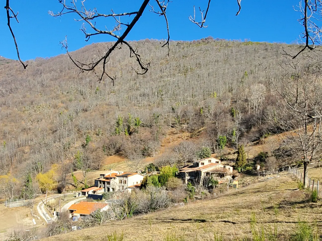 Mas Can Founs, Prats-de-Mollo-la-Preste : image 3