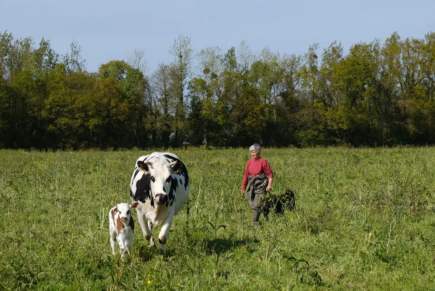 Mini-yourte des Goublayes (hébergement insolite à la ferme), Saint-Alban