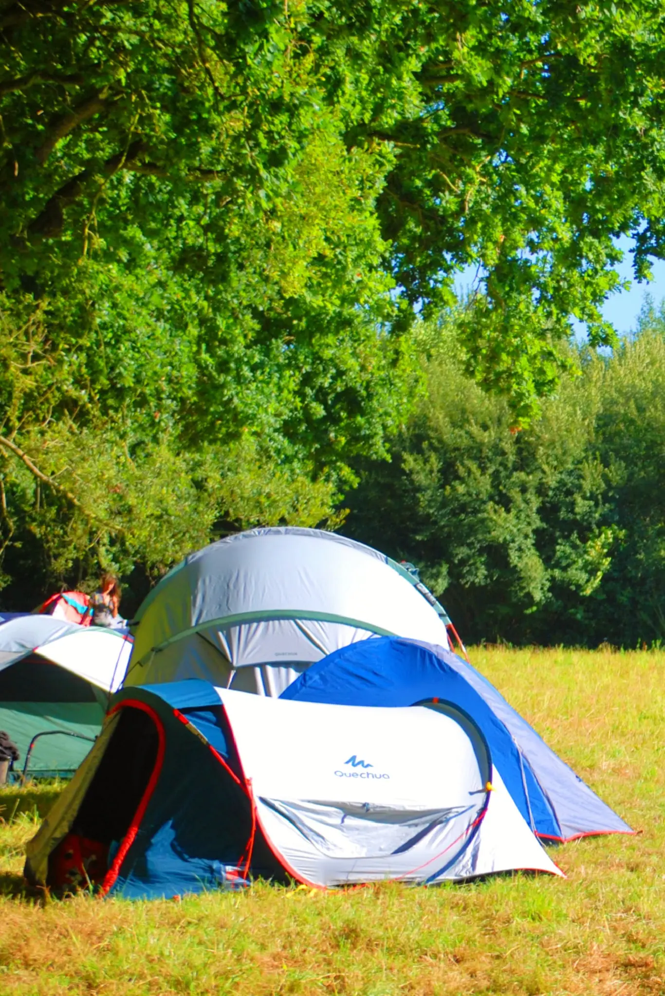 Mini-yourte des Goublayes, Saint-Alban : image 4