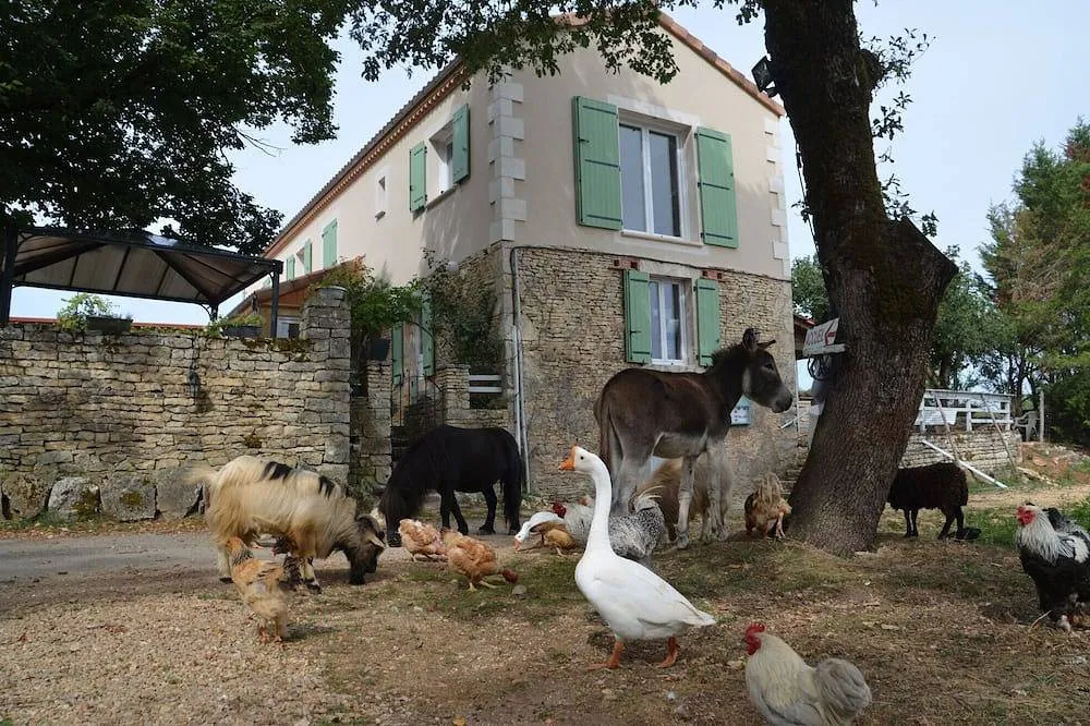 Mobilhome de la ferme, Gabillou : image 5