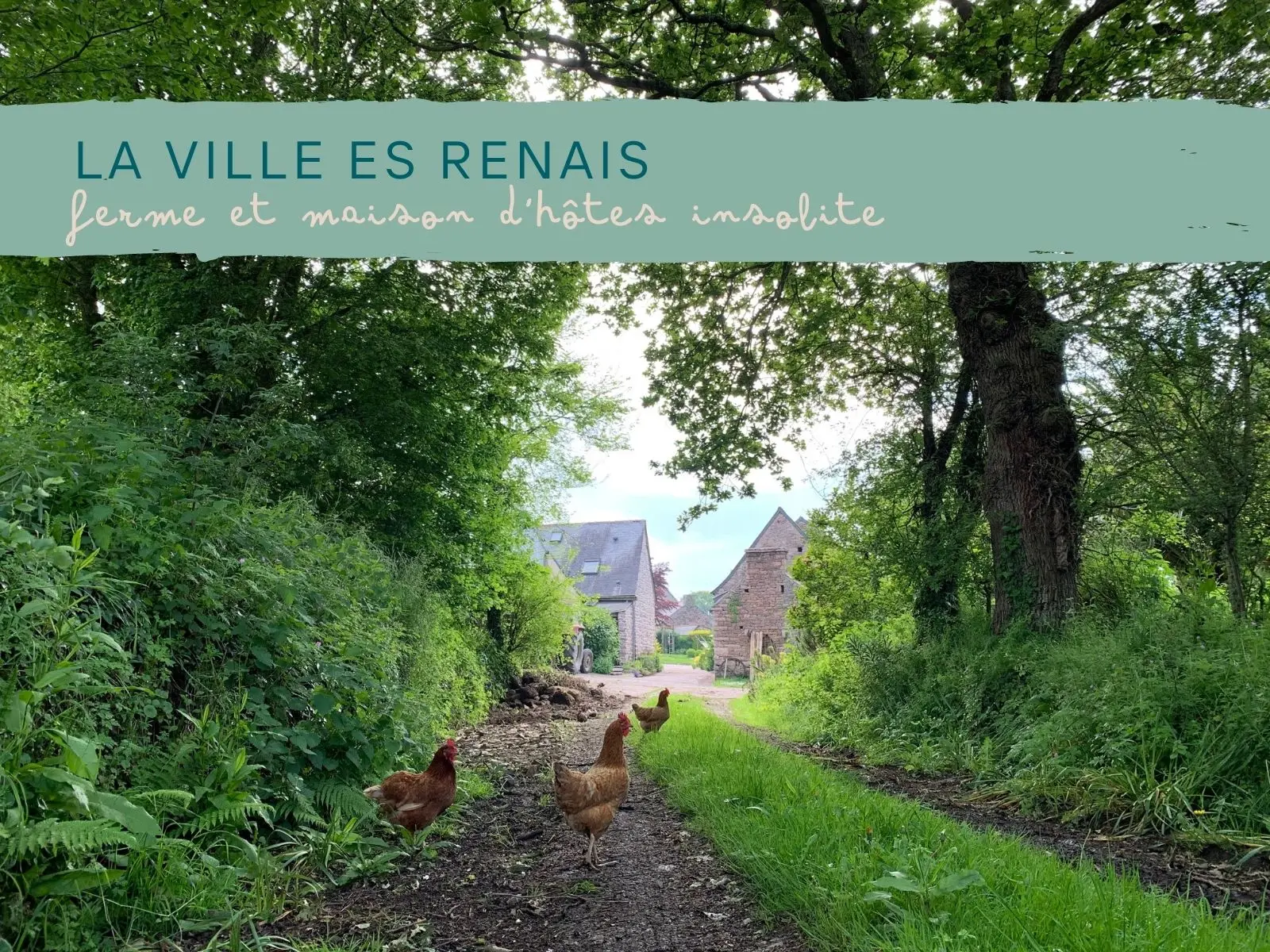 Nid de Pie à la Ville Es Renais, Erquy : image 3